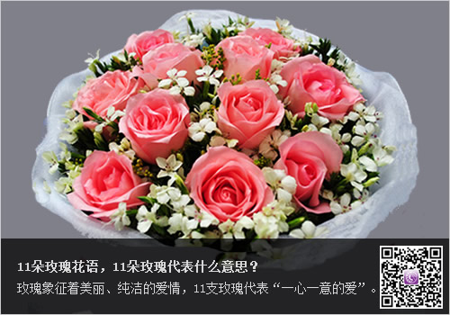11朵玫瑰花语,11朵玫瑰代表什么意思?