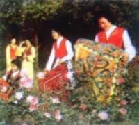 我国与吉尔吉斯斯坦建立外交关系