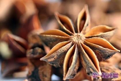 10月21日花语:茴香,生日花语权力