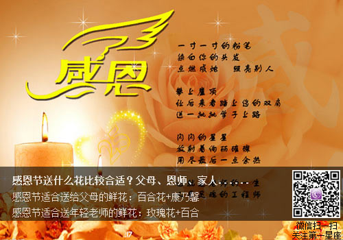 感恩节送什么花比较合适?