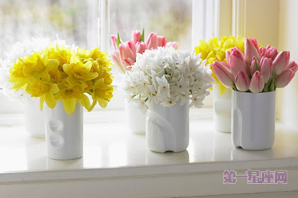 教你赔礼道歉应送什么花？