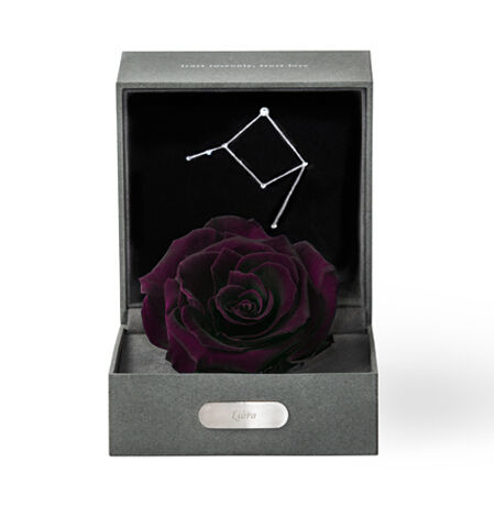 紫玫瑰代表什么意思