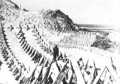 诺曼底登陆纪念图片集(一)